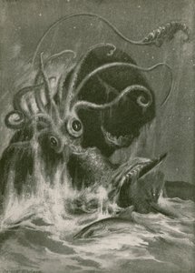 Kraken versus sperma bálna